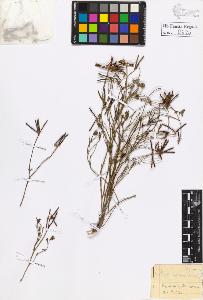 SW_BNB_s3020-00623_IMG-0000000001