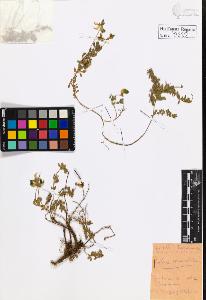 SW_BNB_s3020-00625_IMG-0000000001