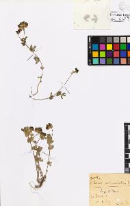 SW_BNB_s3020-00630_IMG-0000000001