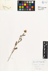 SW_BNB_s3020-00631_IMG-0000000001