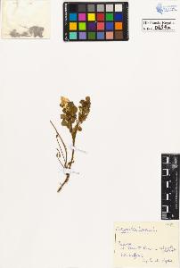 SW_BNB_s3020-00637_IMG-0000000001