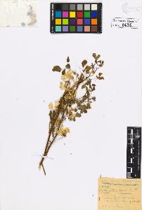 SW_BNB_s3020-00638_IMG-0000000001