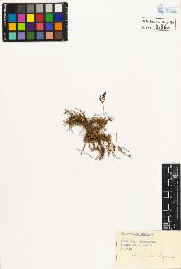 SW_BNB_s3020-00639_IMG-0000000001