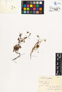 SW_BNB_s3020-00641_IMG-0000000001