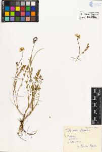 SW_BNB_s3020-00642_IMG-0000000001