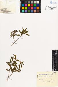 SW_BNB_s3020-00648_IMG-0000000001