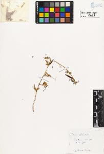 SW_BNB_s3020-00651_IMG-0000000001
