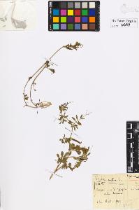 SW_BNB_s3020-00652_IMG-0000000001