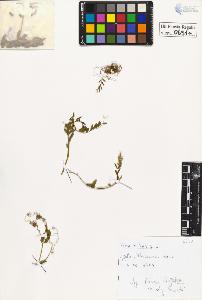 SW_BNB_s3020-00654_IMG-0000000001