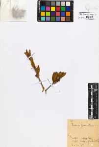 SW_BNB_s3020-00655_IMG-0000000001