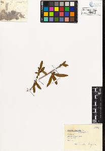 SW_BNB_s3020-00656_IMG-0000000001
