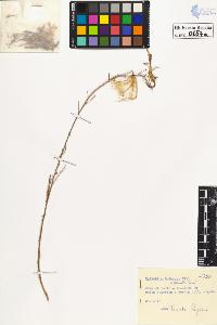 SW_BNB_s3020-00660_IMG-0000000001
