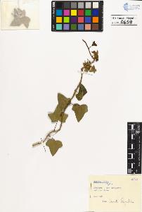 SW_BNB_s3020-00662_IMG-0000000001