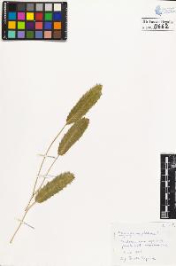 SW_BNB_s3020-00665_IMG-0000000001