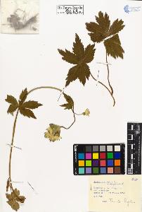 SW_BNB_s3020-00666_IMG-0000000001