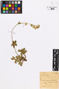 SW_BNB_s3020-00667_IMG-0000000001