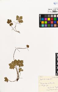 SW_BNB_s3020-00669_IMG-0000000001