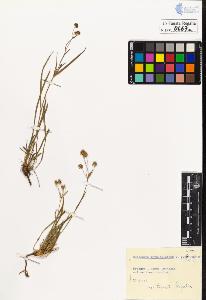 SW_BNB_s3020-00670_IMG-0000000001