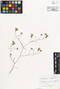 SW_BNB_s3020-00672_IMG-0000000001