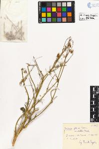 SW_BNB_s3020-00673_IMG-0000000001
