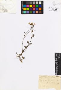 SW_BNB_s3020-00674_IMG-0000000001