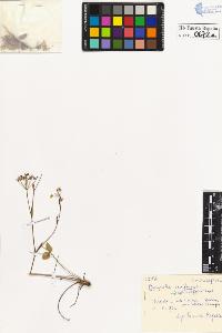 SW_BNB_s3020-00675_IMG-0000000001