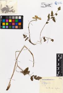 SW_BNB_s3020-00682_IMG-0000000001