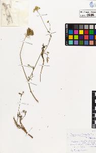 SW_BNB_s3020-00687_IMG-0000000001