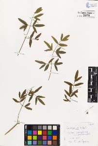 SW_BNB_s3020-00690_IMG-0000000001