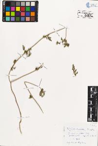 SW_BNB_s3020-00691_IMG-0000000001