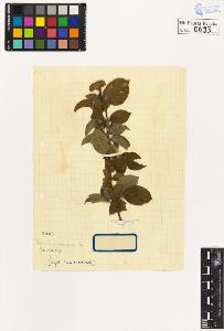 SW_BNB_s3020-00696_IMG-0000000001