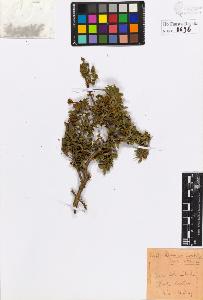 SW_BNB_s3020-00699_IMG-0000000001
