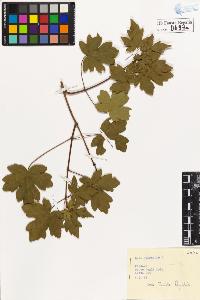 SW_BNB_s3020-00700_IMG-0000000001