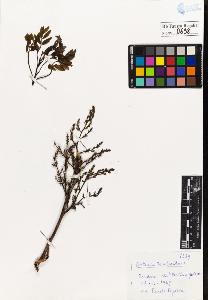 SW_BNB_s3020-00701_IMG-0000000001