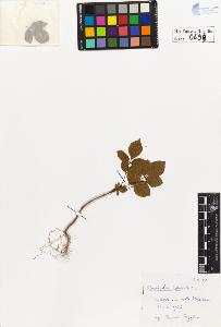 SW_BNB_s3020-00702_IMG-0000000001