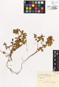 SW_BNB_s3020-00707_IMG-0000000001