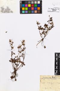 SW_BNB_s3020-00723_IMG-0000000001