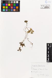 SW_BNB_s3020-00724_IMG-0000000001