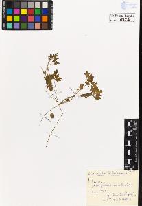 SW_BNB_s3020-00727_IMG-0000000001