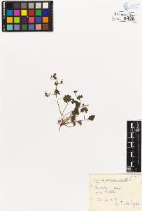 SW_BNB_s3020-00729_IMG-0000000001