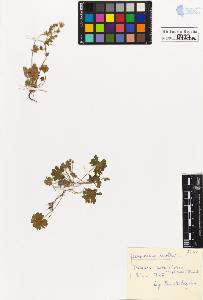 SW_BNB_s3020-00730_IMG-0000000001