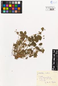 SW_BNB_s3020-00731_IMG-0000000001