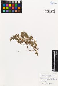 SW_BNB_s3020-00732_IMG-0000000001