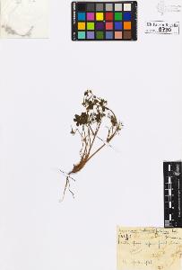 SW_BNB_s3020-00733_IMG-0000000001