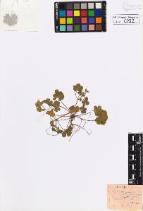 SW_BNB_s3020-00735_IMG-0000000001