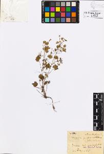 SW_BNB_s3020-00736_IMG-0000000001