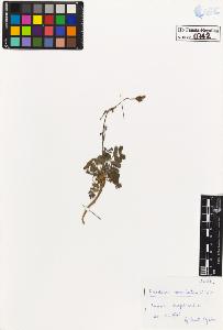 SW_BNB_s3020-00745_IMG-0000000001