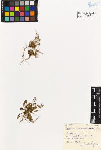 SW_BNB_s3020-00746_IMG-0000000001