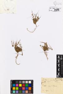 SW_BNB_s3020-00747_IMG-0000000001
