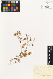 SW_BNB_s3020-00748_IMG-0000000001
